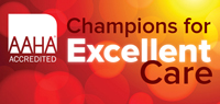 Champions for Excellent Care
